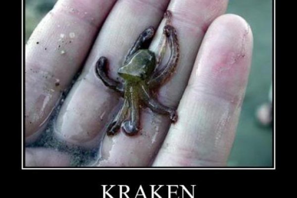 Kraken даркнет переходник