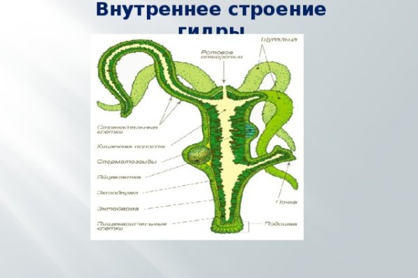 Кракен сайт тор ссылка