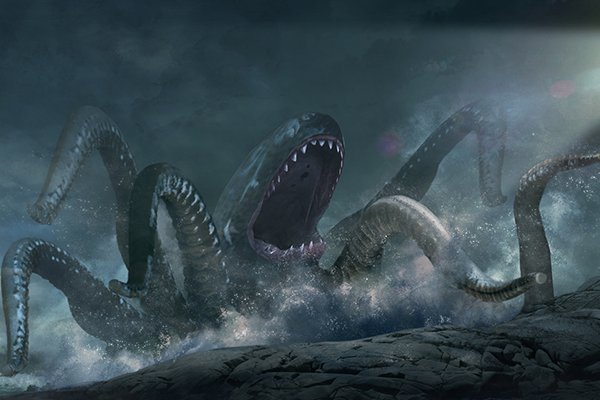 Kraken рынок