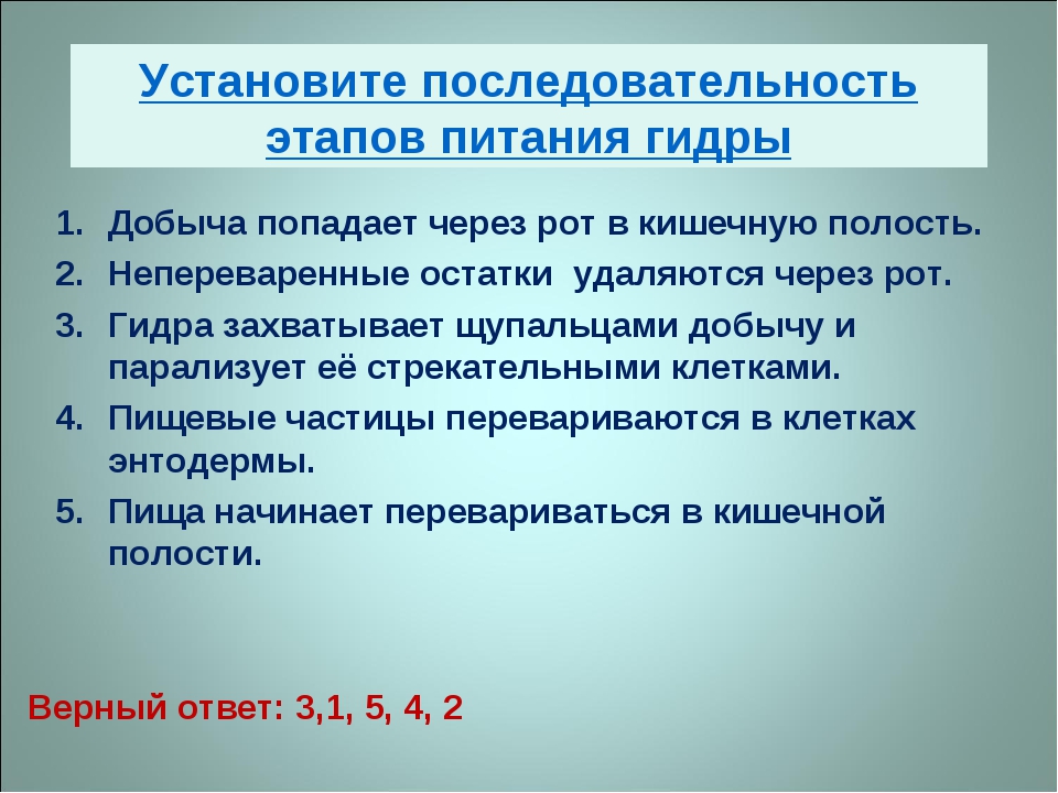 Кракен даркнет тор