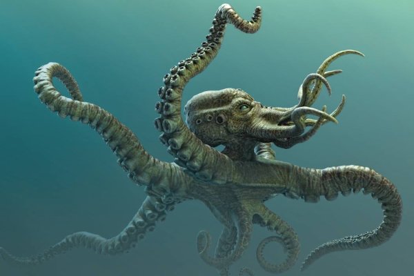 Kraken cc ссылка